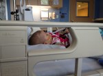 Phoebe napping before chemo&nbsp;treatments