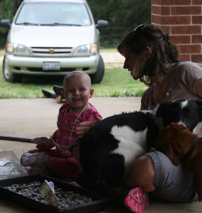 IMG_2731 photoshoped